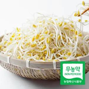 국내산 이조은 산소 콩나물 1kg