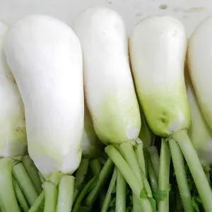 청정지역 3번 세척 깨끗한 알타리절임 18kg