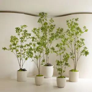 리얼퀄리티 핸드메이드 조화나무 쟈스민나무 8sizes