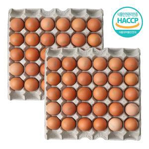 쫄깃탱글 명품 구운란  구운계란 대란/60구  Haccp인증 무살충제 계란