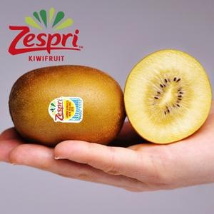 [웰굿] 뉴질랜드 제스프리 골드키위 3kg(20과내외,점보과)