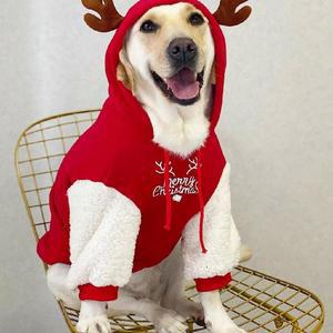 겨울옷 리트리버 중형견 강아지 대형견 대형견크리스마스옷