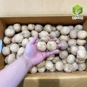 국내산 햇감자 알감자 조림용 10kg