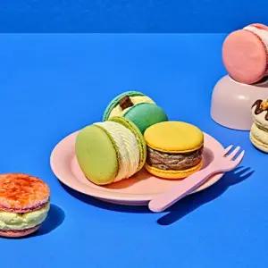 널담 뚱카롱 고식이섬유 마카롱 16구  총 2BOX) 사랑 감동세트