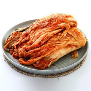 갤러리아 고향담 맛김치 10kg