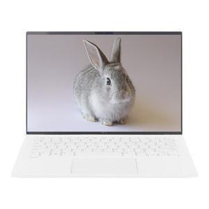 LG전자 LG그램 14Z90S-GAFWK