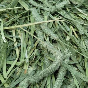 염소 말 알파카 기니피그 친칠라 건초 [ 티모시 대용량 건초 18kg]