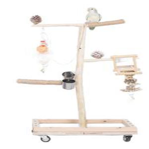 앵무새 나무 스탠드 그네 새장 세트 링 놀이터 횟대