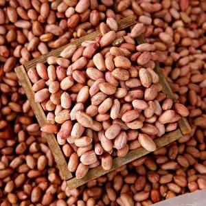 볶음 알땅콩 500g x 2봉 [총 1kg]