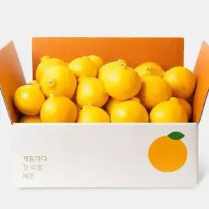 [깨비농원] 제주 가정용 황금향 4kg 랜덤과 당일한정