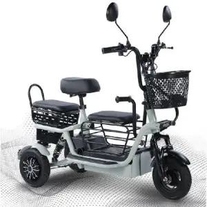 삼륜 전동킥보드 48V 85km 2/3인승 장보기 출퇴근 어르신 이동 성인용 전동스쿠터