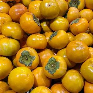 진영 고당도 단감 10kg 부유단감