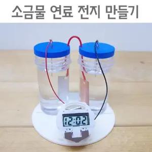 [셀러허브]소금물 전지로 시계 만들기 실험 5세트 K00175 (S31267667)