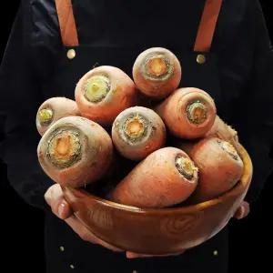 국내산 25년 햇 흙당근 못난이 10kg