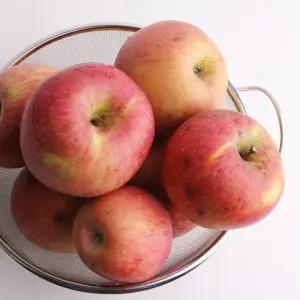 정동준님의 의성 유기농 부사 사과 2.5kg 5kg