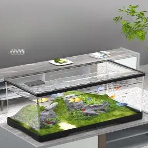 초대형 대형 달팽이키우기 세트 곤충 사육장 달팽이집