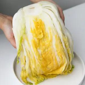 [지정일출고] 3중세척 강원도 고랭지 평창 절임배추 20kg (9-13포기)