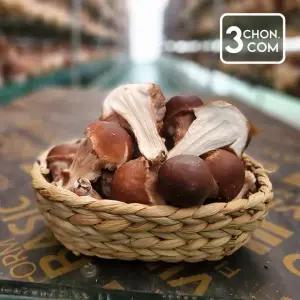 [삼촌밥먹자] 충북 무농약버섯 참송이 버섯 1kg 파지