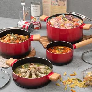 온더랩 투톤레드 IH 인덕션 냄비 4종 세트 편수16+양수20+전골22+곰솥24 1세트
