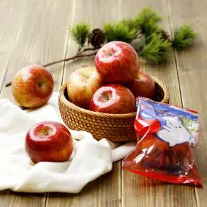 당도선별 못난이 세척 사과 2.5kg 8-10과 중과 가정용