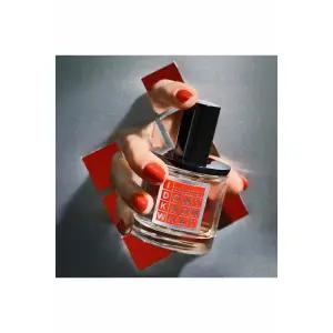 [롯데백화점]디에스 앤 더가 [2025 홀리데이] 아이 돈 노우 왓 오 드 퍼퓸