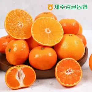 [제주감협] 25년 제주 황금향 2.5kg*1박스+노지감귤 2.5kg*1박스