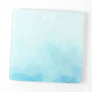 디지털 체중계 블루 체중측정 튼튼한체중계 (WFG29P3)