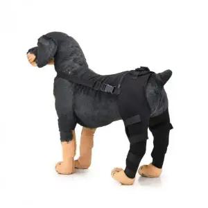 [골드스마일]강아지 무릎 관절 지지대 슬개골 보호용 패드