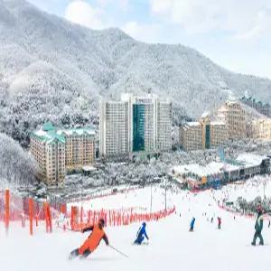 25/26 비발디파크 동계 리프트/장비렌탈 PKG/스노위랜드/오션월드 오픈이벤트/비발디파크/비발디파크 스키/비발디파크 보드/스노위랜드/오션월드