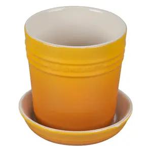 르크루제 허브 플랜터 10cm, 넥타르, 1개