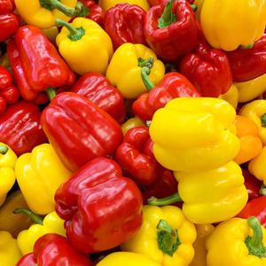 [지지팜] 파프리카 5kg