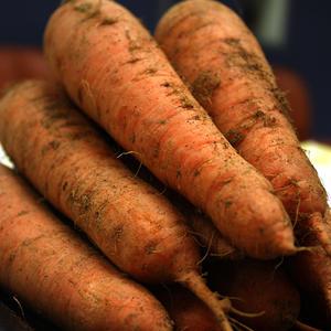 싱싱한 제주 구좌 흙당근 3kg,5kg