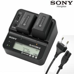 AC-VQV10 소니 캠코더 배터리 충전기 NP-FV100A