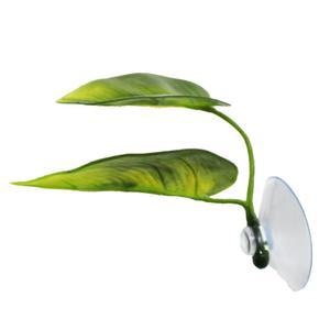 샘아쿠아 sam brandout PVC 베타 침대/베타 키우기