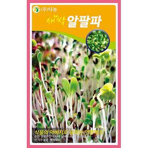 새싹알팔파 씨앗 1kg 새싹채소씨앗