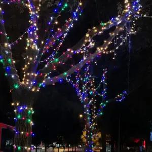 트리장식 LED 컬러 지니전구 100구 10M 투명선