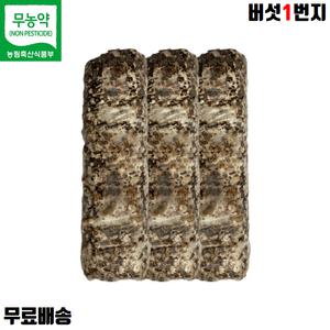 버섯1번지 장흥 무농약 표고버섯 배지 3개 가정용
