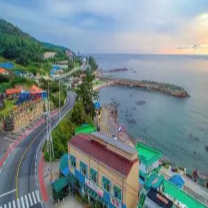 [경북] 경주 감포 생불고기&펜션(경북, 경주)