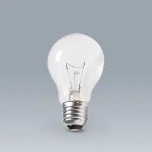 [더원사이언스] 백열전구(전기스탠드용)(220V, 100W) KSIC-1623/물리. 빛/과학교구