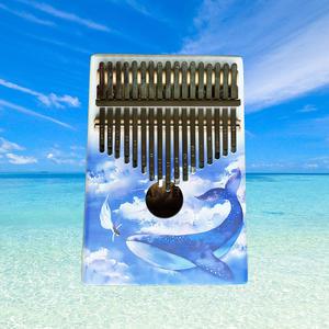 엔젤악기 엔젤 칼림바 그래픽 17음계 칼림바 풀패키지