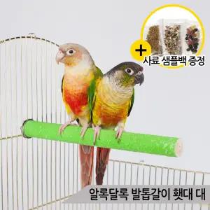 알록달록 두꺼운 발톱갈이 횃대 대 앵무새 중대형횟대