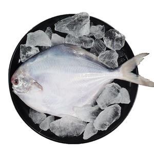 목포 참병어 3미 (횟감용) 손질세척 편리하고 스킨포장으로 신선한 신안병어