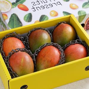 애플망고 골드망고 혼합 선물세트  WR-299