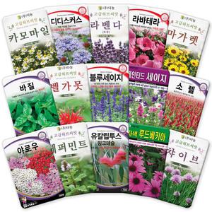 각종 허브 씨앗 모음 라벤다 로즈마리 바질 카모마일 타임 허브 씨 종자
