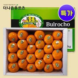 [더나은후르츠]특품 제주 불로초 감귤 가정용 선물용 1.5kg 3kg 내외