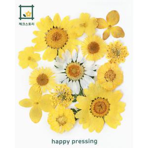 체크스토리 레인보우압화 꽃송이팩 조화 레진아트 압화재료