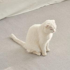 거실러그 로망스 소프트 방수 사계절 러그 200x300cm  대형  사계절러그