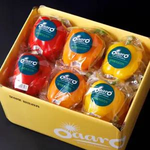 [산지별미] 오아로파프리카 프리미엄 2.5kg