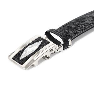 arnaldo bassini 태국 가오리가죽 캐주얼벨트 정장벨트 5117