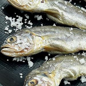국내산 반건조 냉동 참조기 20미 굴비 생선 구이 조림